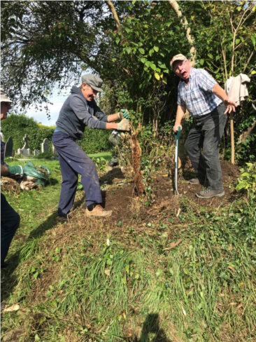 Clearing the graveyard