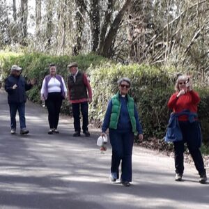Walk of Witness